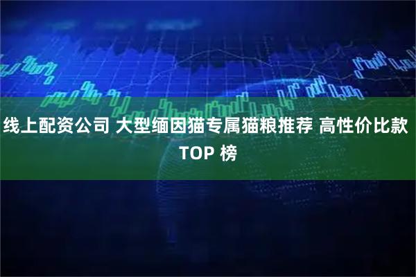 线上配资公司 大型缅因猫专属猫粮推荐 高性价比款 TOP 榜